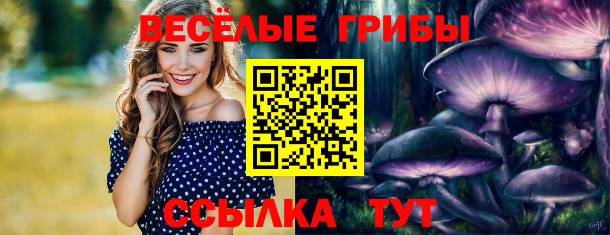 Североуральск  Псилоцибиновые грибы ЛСД  Вход с VPN 