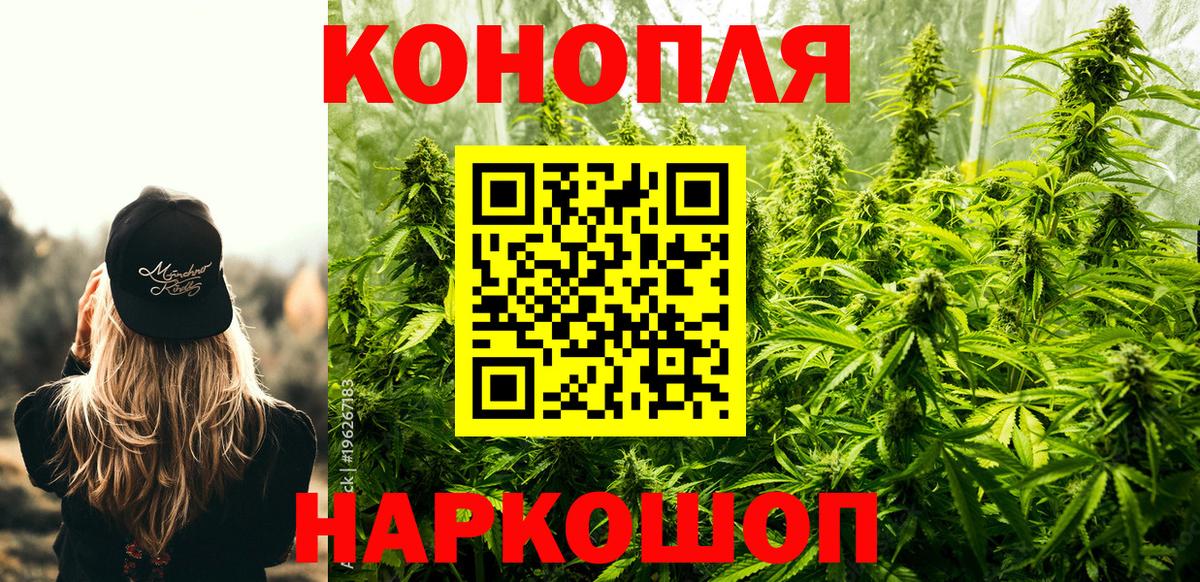 Бошки марихуана сатива  Вход с VPN  Конопля план  Шишки марихуана сатива  Североуральск 